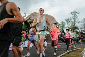 BIB: 
                            <button type="button" onclick="openModal(26528303)" class="btn btn-primary btn-sm float-right btn-popup" data-toggle="modal" data-target=".modal-high-quality">
                        <i class="fas fa-shopping-cart"></i> Add to Cart
                    </button>
                                            <button type="button" onclick="isThisMe(26528303, true)" class="btn btn-success btn-sm float-right btn-popup btn-isme hidden" data-toggle="tooltip" data-placement="bottom" title="นี่คือรูปของคุณใช่ไหม คลิกที่นี่เพื่อเอาเข้าอัลบั้ม">
                        <i class="fas fa-plus"></i> Add to album
                    </button>
                    <button type="button" onclick="isThisMe(26528303, false)" class="btn btn-warning btn-sm float-right btn-popup btn-isnotme hidden">
                        <i class="fas fa-ban"></i> Remove from album
                    </button>